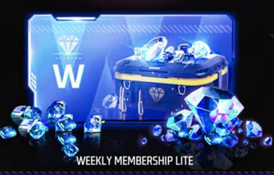 Weekly Lite